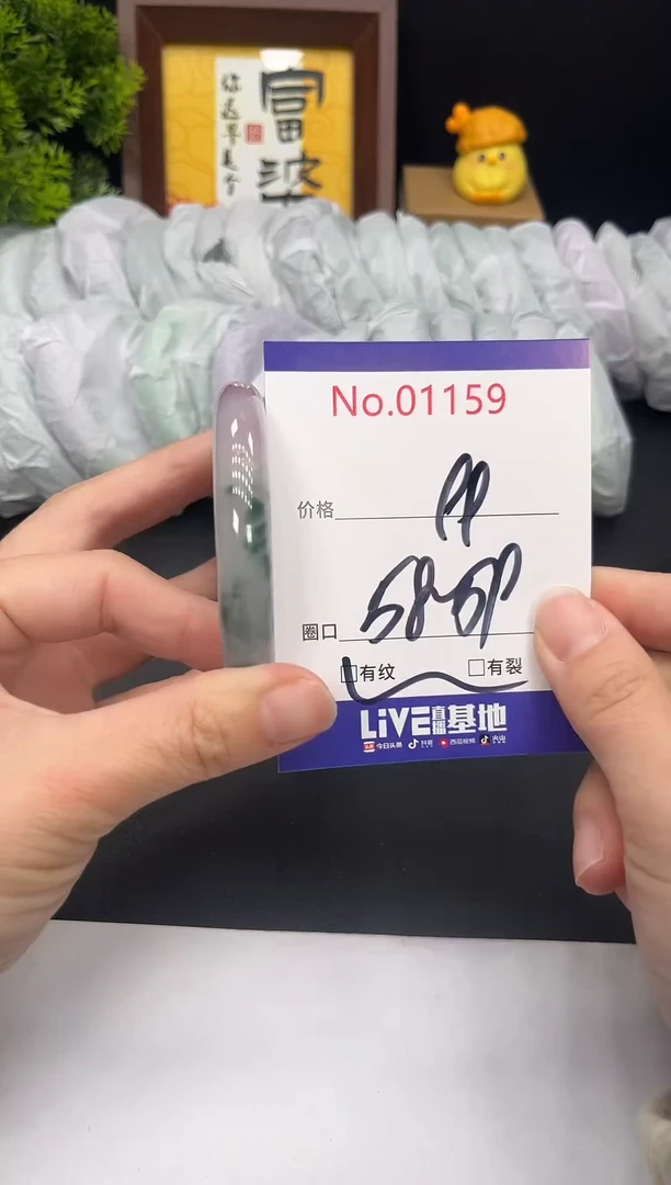 未镶嵌手镯翡翠拍下以实物为准1159