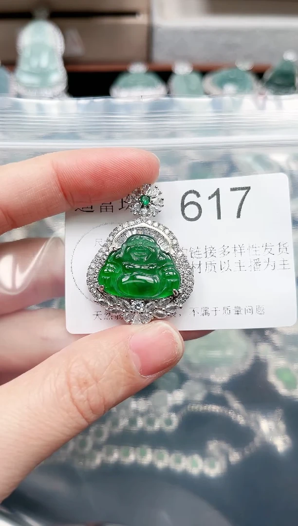 【闪购商品】翡翠颈饰未镶嵌赠皮绳617