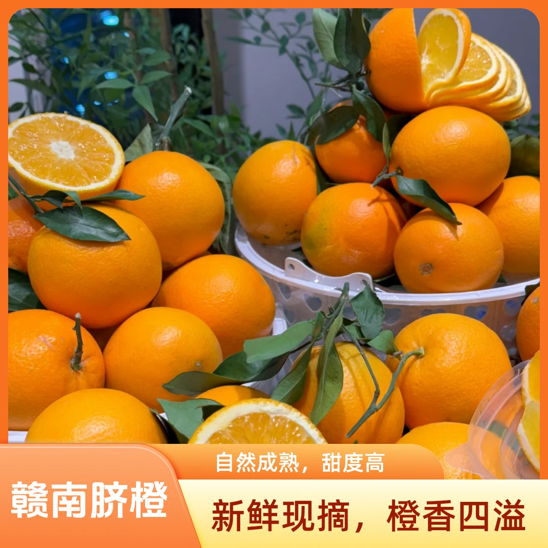 精品果赣南脐橙新鲜现摘应季水果皮薄多汁香甜爆汁橙香四益孕妈