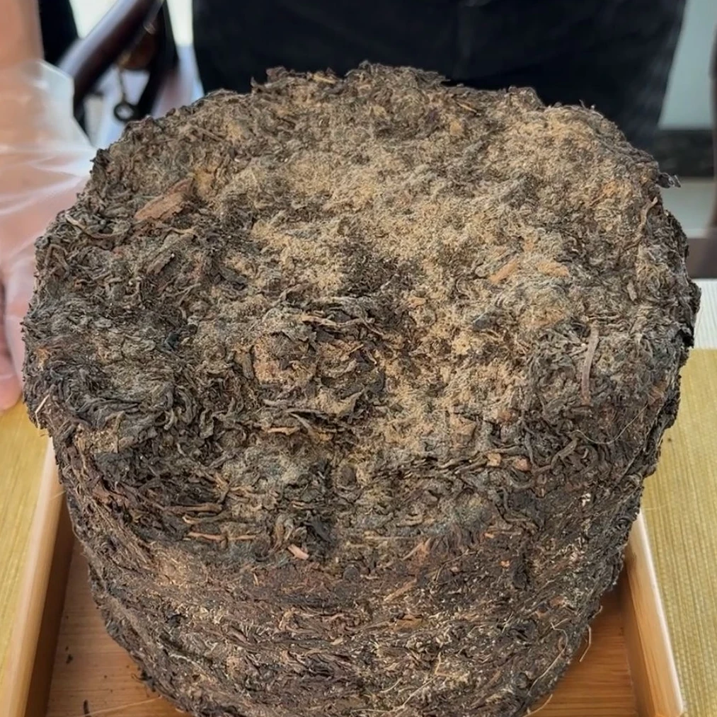 BCT2002年茶柱三代 普洱茶柱茶