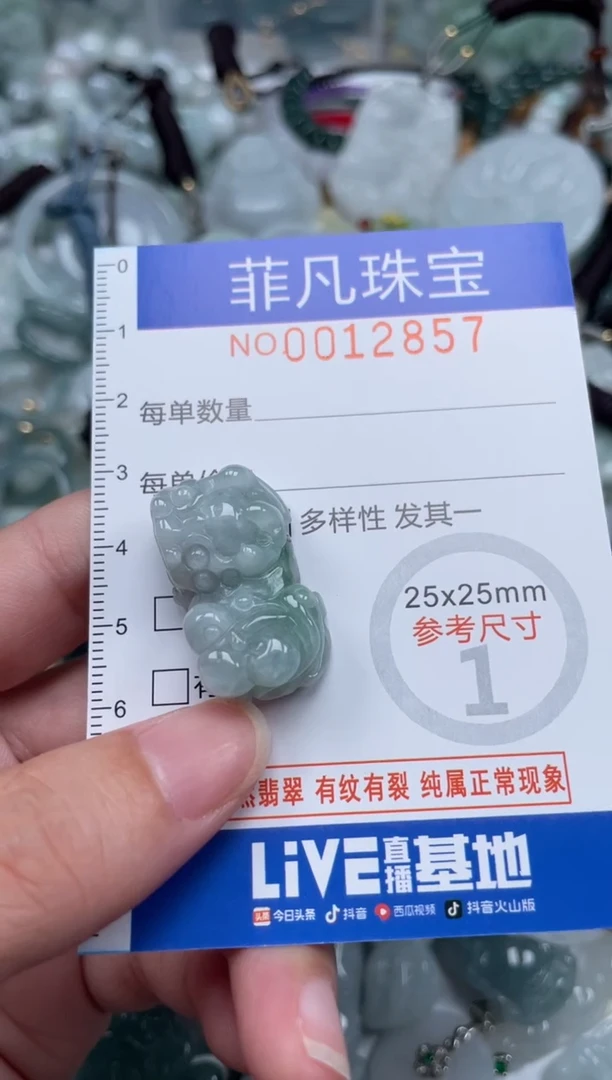 颈饰未镶嵌翡翠12857