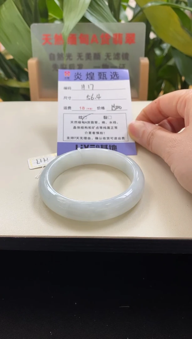 未镶嵌手镯翡翠圈口56.2编码h17