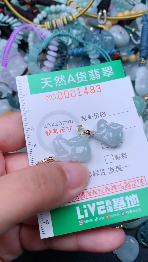 翡翠未镶嵌颈饰.0001483