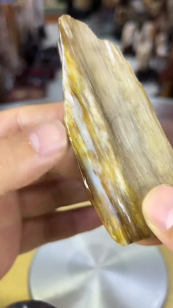 未镶嵌珠宝奇石硅化玉缅甸天然树化玉手把件