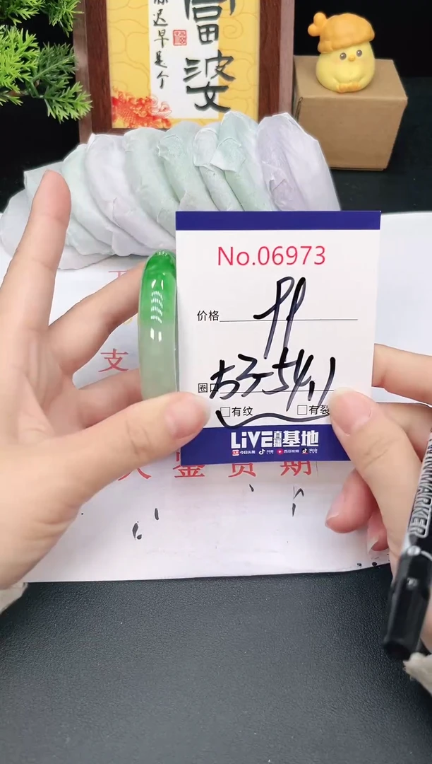 未镶嵌手镯翡翠6973