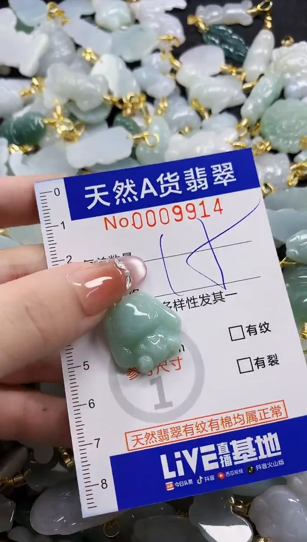 颈饰未镶嵌翡翠天然A货翡翠