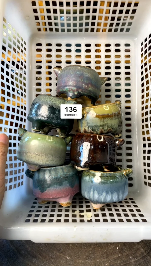 【闪购商品】陶136【年终大促福利套】