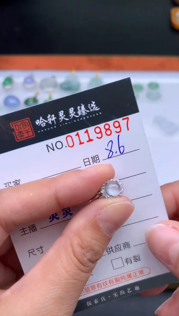 翡翠未镶嵌吊坠(不含链)哈轩  挂件1