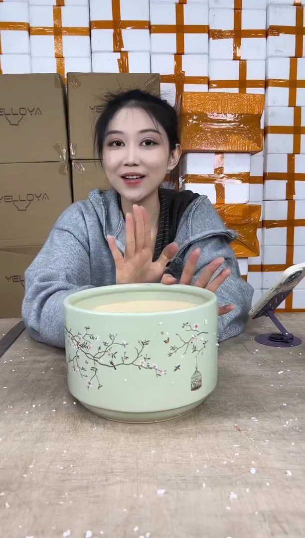 蝴蝶兰鸟笼绿色中号18x12