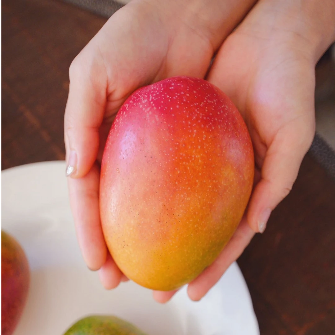 【顺丰空运】海南晚爱文芒 净果4.5斤礼盒装  树上自然熟 香甜多汁