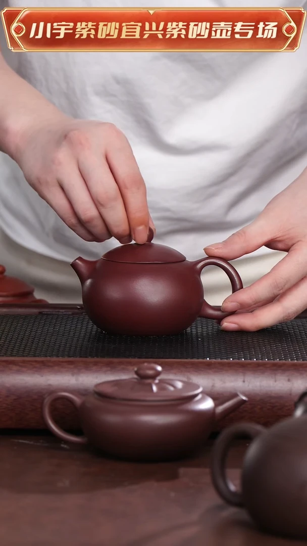 茶杯紫砂光素西施壶 丽  @@CH03337