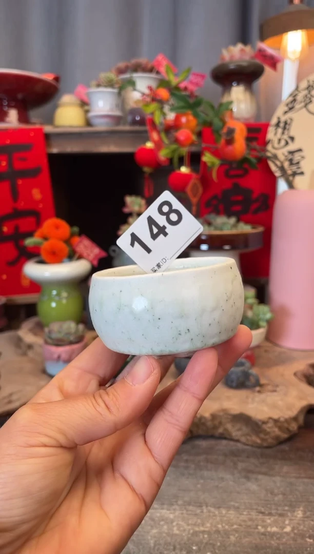 【闪购商品】摆件148知木小芳花盆