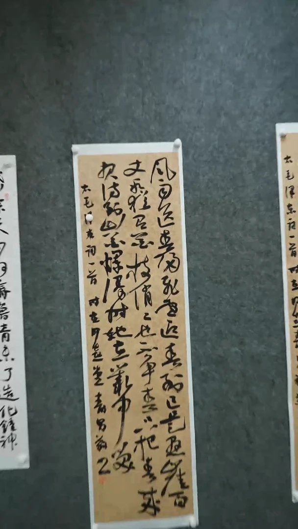 国画书法jsn老师书法作品