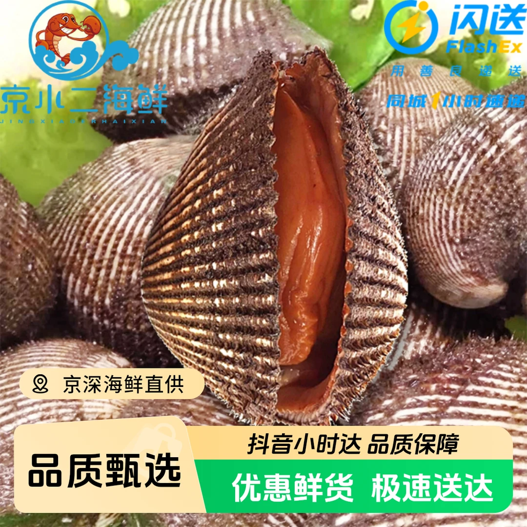 4-5两/只 鲜活赤贝 （1只装）可刺身