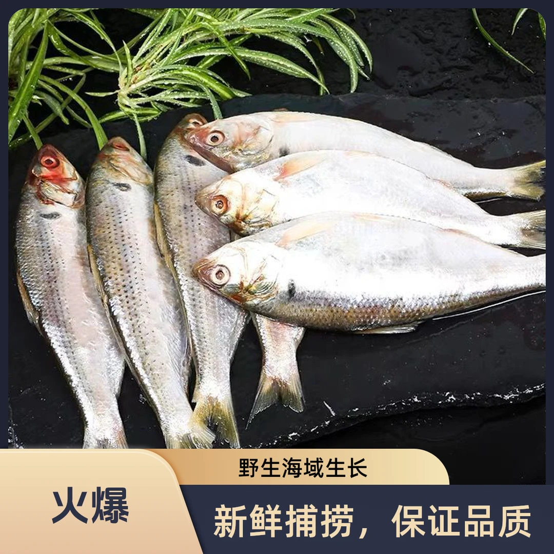 令吉鱼海鲫鱼速冻煎炸吃顺丰包邮