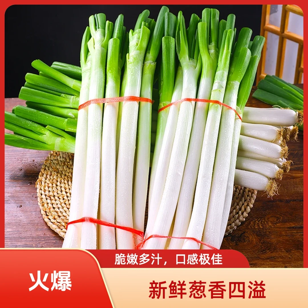 【优选大葱】山东铁杆大葱调味炒菜农家大葱现挖现发新鲜葱蘸酱大葱