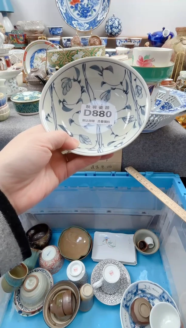 日式平**运默认微瑕秋羽D880