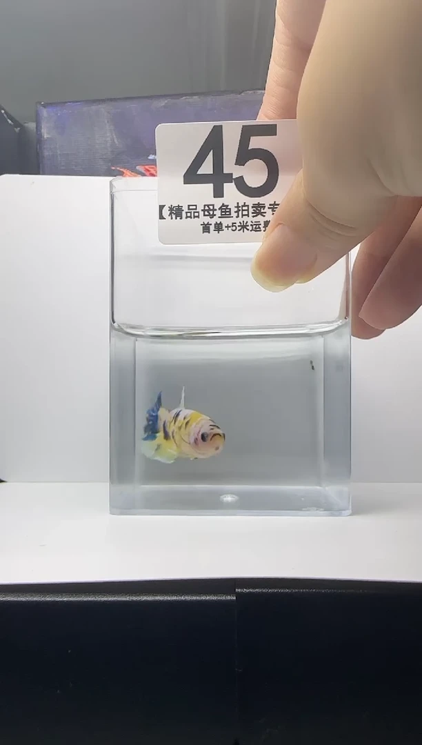 斗鱼母鱼编号：45