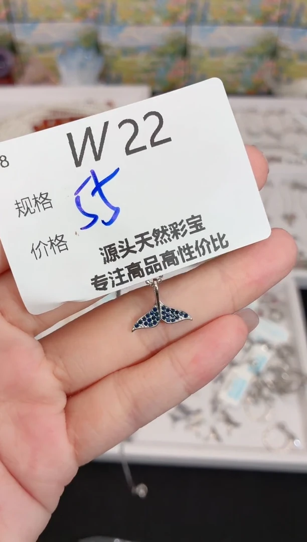 银S925镶嵌珠宝奇石蓝宝石多样性发一W22