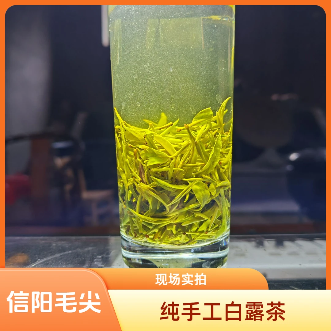 2025新茶纯手工白露茶绿茶信阳正宗毛尖茶毛尖秋茶正宗毛尖茶毛尖