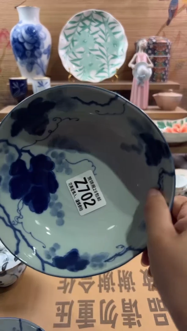 瓷片雪**️         Z702