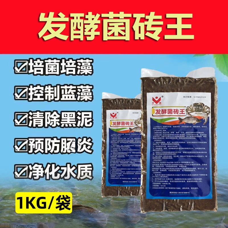 丰渔发酵菌砖王乳酸EM水产养殖发酵豆渣菜籽饼玉米调水肥水育虫