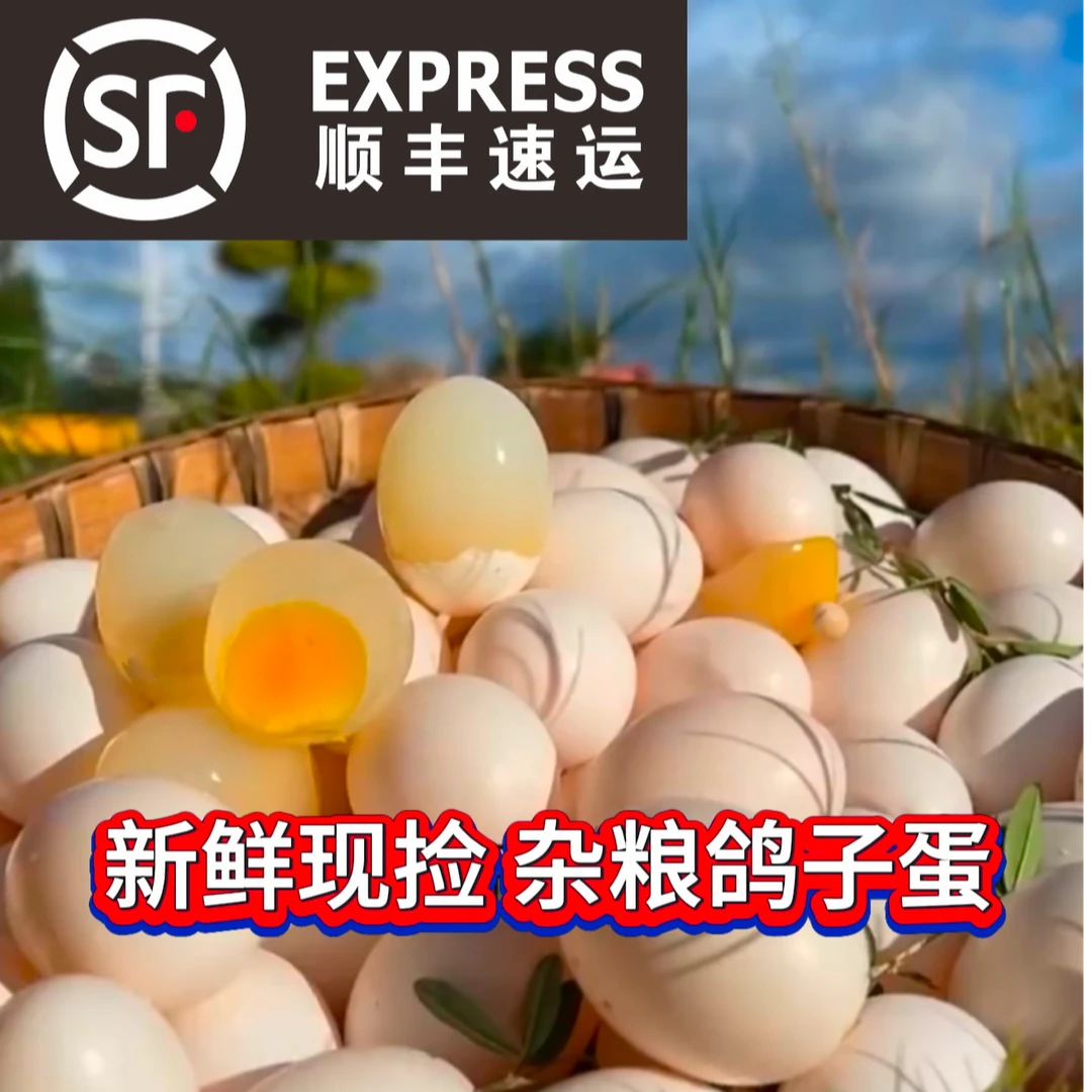 【破损包赔】农家杂粮鸽子蛋优质杂粮孕妇宝宝鸽子蛋30枚天然鸽子蛋