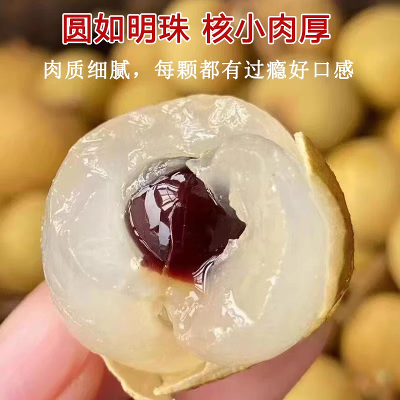 【真正果王】 广东高州储良龙眼新鲜现摘现发清甜水果