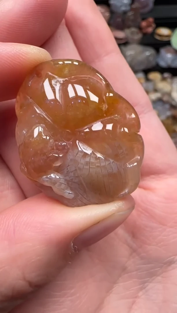 颈饰未镶嵌硅化珊瑚（珊瑚玉）611