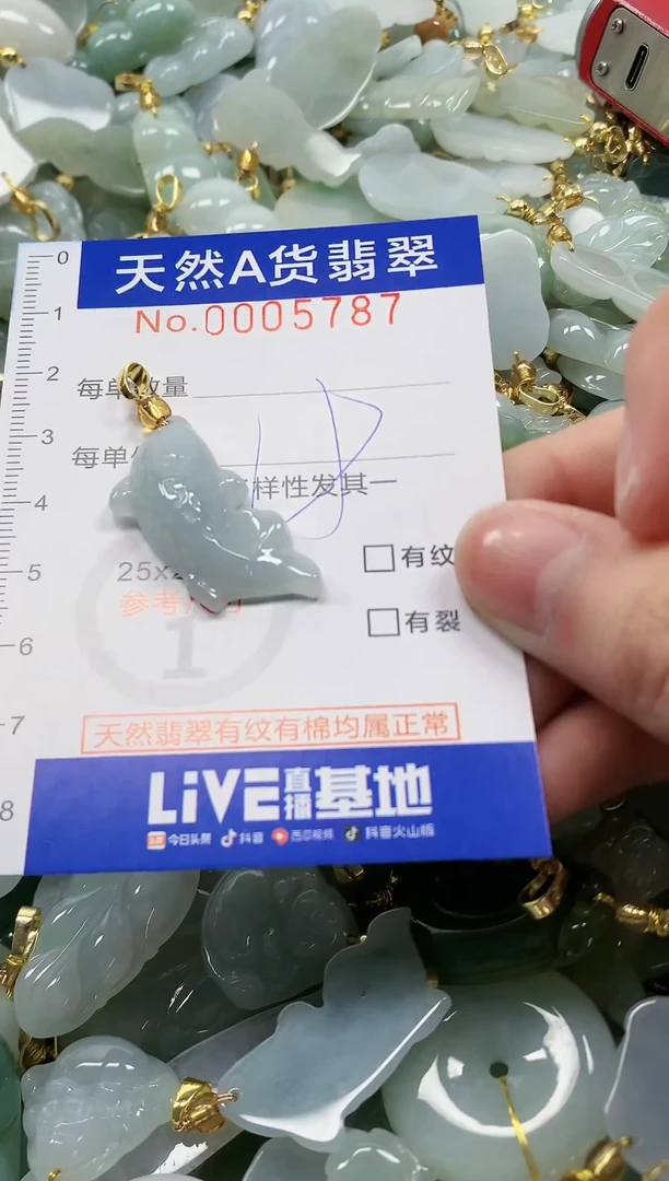 颈饰未镶嵌翡翠纯天然a货翡翠