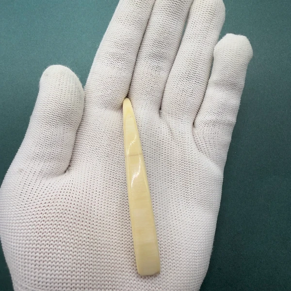 E6251天然猛犸牙牙尖 支持鉴定 假一罚四