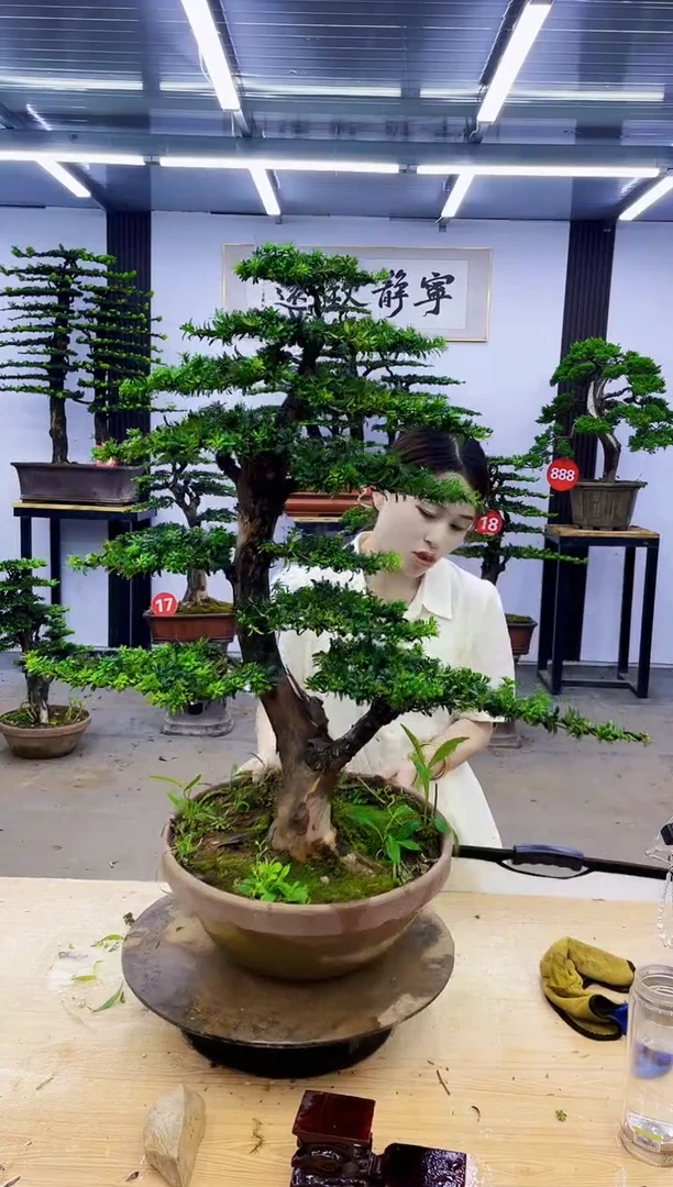 完全开放00000000000