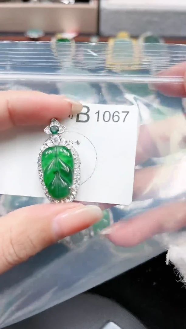 【闪购商品】翡翠颈饰未镶嵌1067赠皮绳