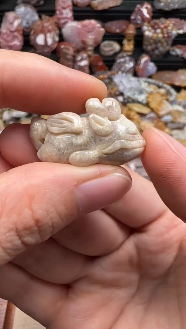 【闪购商品】硅化珊瑚（珊瑚玉）颈饰未镶嵌481