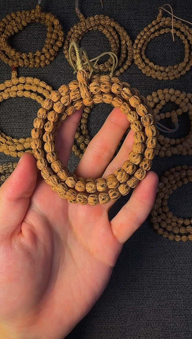 手串柏香籽/百香籽尸陀林