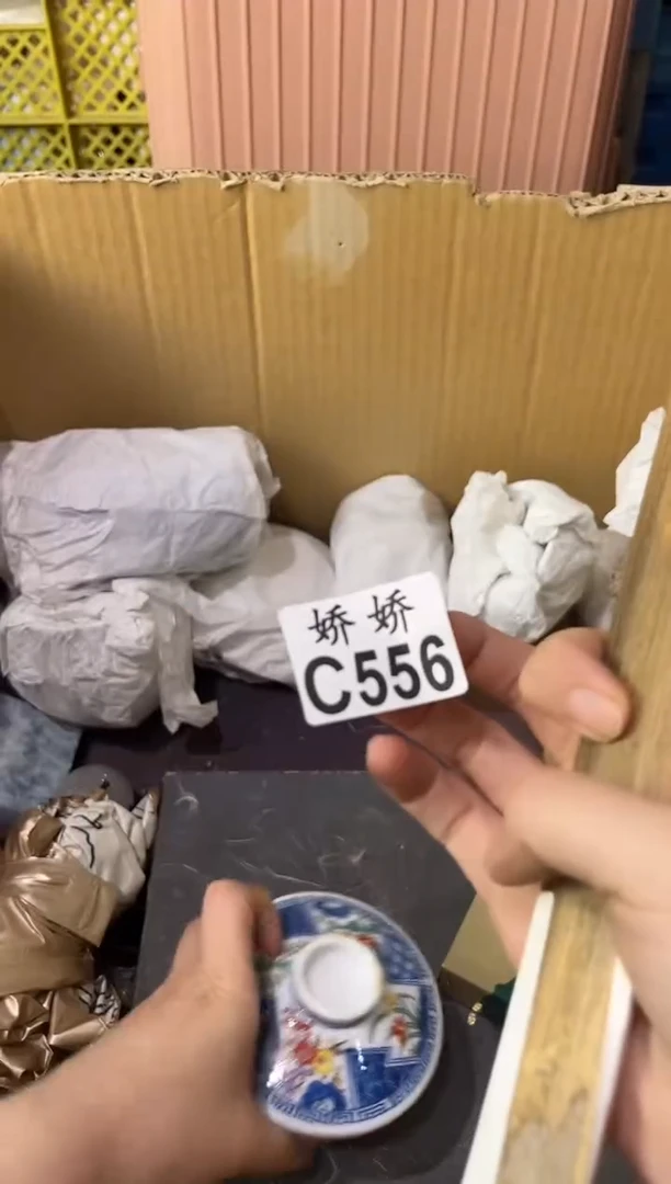 瓷片海****司556定向 海南博亿生物科技发展有限公司