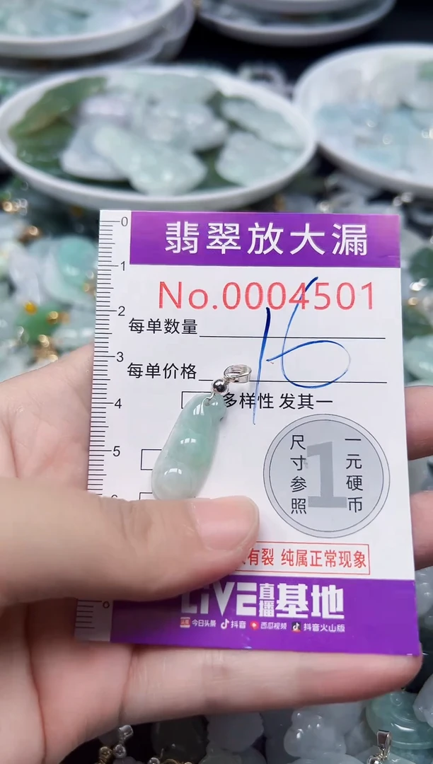 颈饰未镶嵌翡翠4501