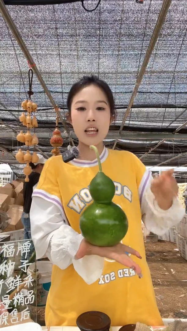 880天然葫芦摆件 一物一拍龙头不保售后