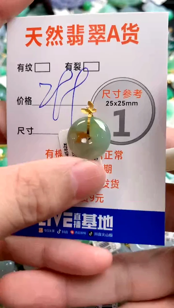 颈饰未镶嵌翡翠0181732041