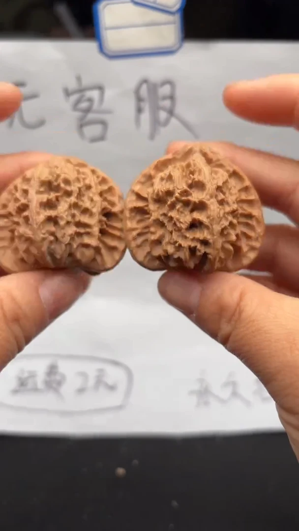 把件文玩核桃374白狮子