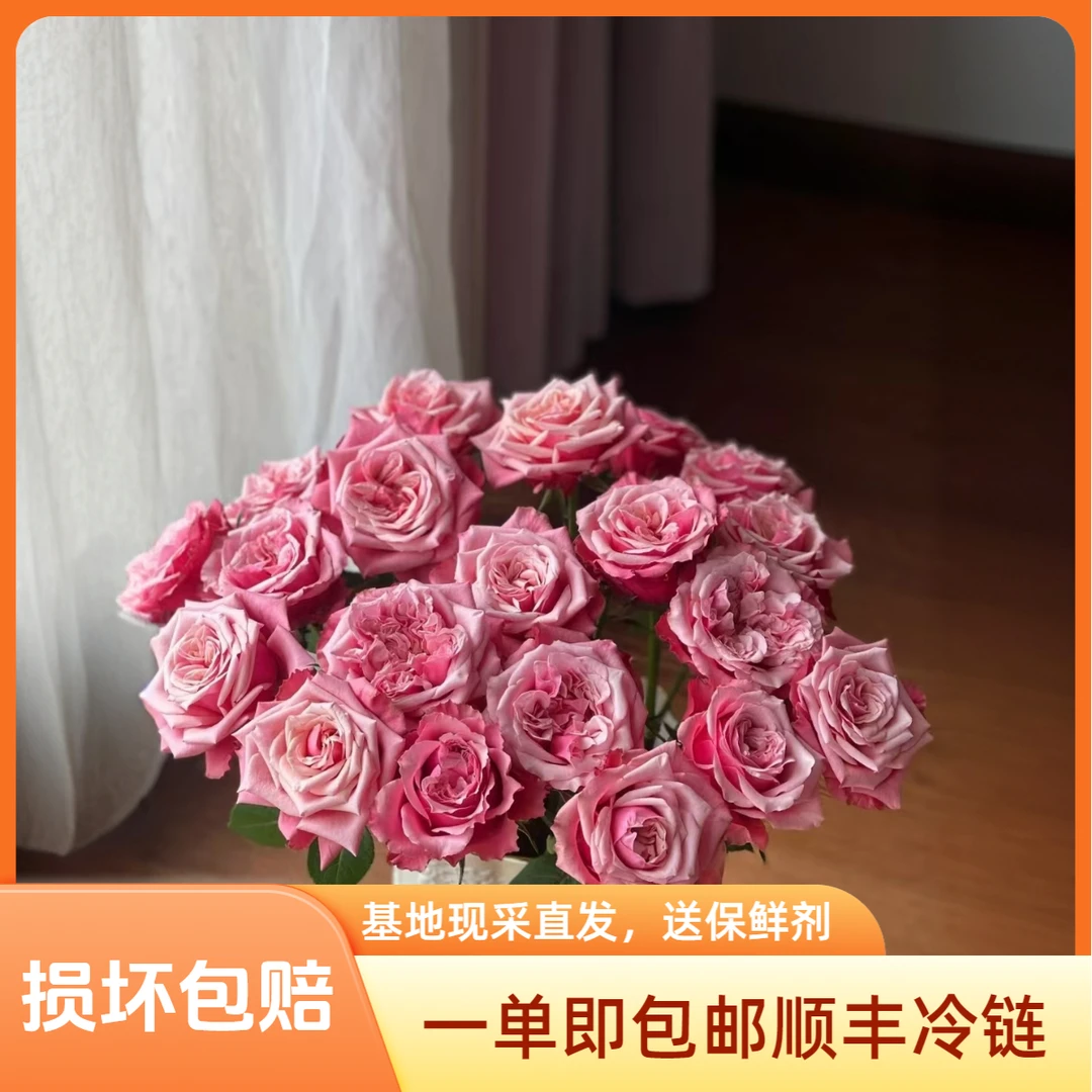 闺蜜网红玫瑰云南基地直发优质新鲜节日送爱人朋友顺丰包邮