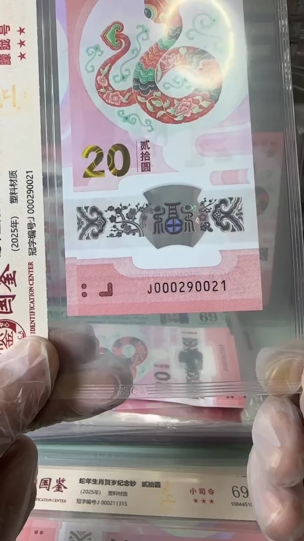 【闪购商品】塑料000290021-蛇钞单张！