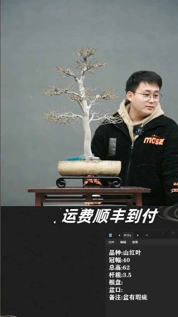 【闪购商品】32 山红叶