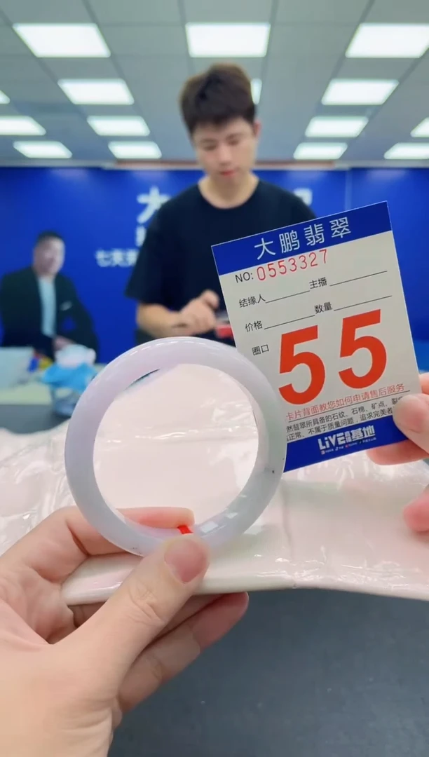未镶嵌手镯翡翠AAAAAAAAA