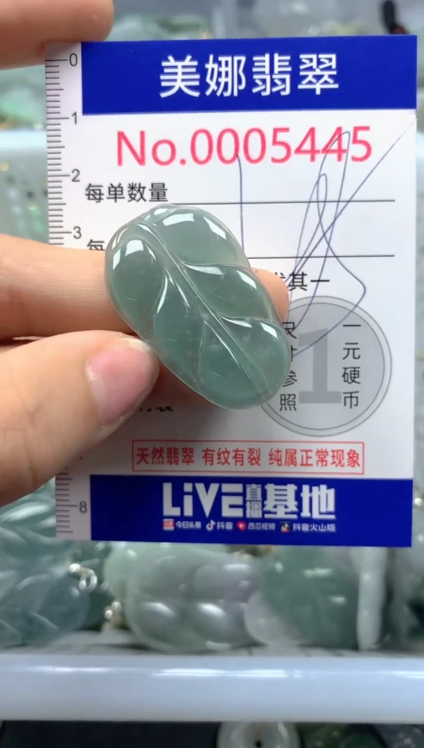 颈饰未镶嵌翡翠5445
