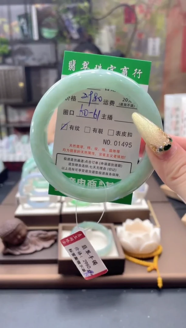 未镶嵌手镯翡翠1495***
