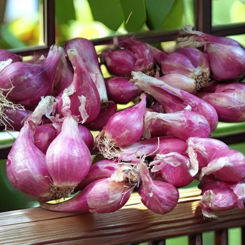 品牌 食香九镇 四季红葱头干新鲜葱头