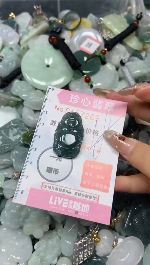 【闪购商品】翡翠颈饰未镶嵌闪购0157269