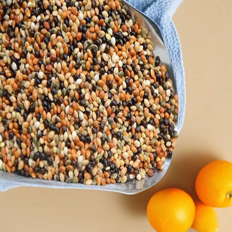 鹦鹉粮食黄谷子营养丰富颗粒饱满