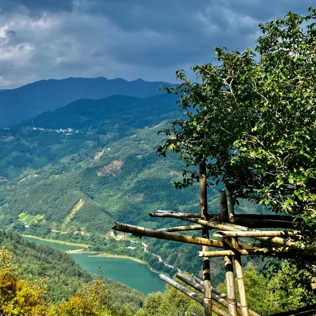 （大黑马）2020年绿水塘200克（普洱茶）生茶